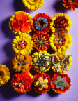 Vogue Accessory - pubbli Nanni
